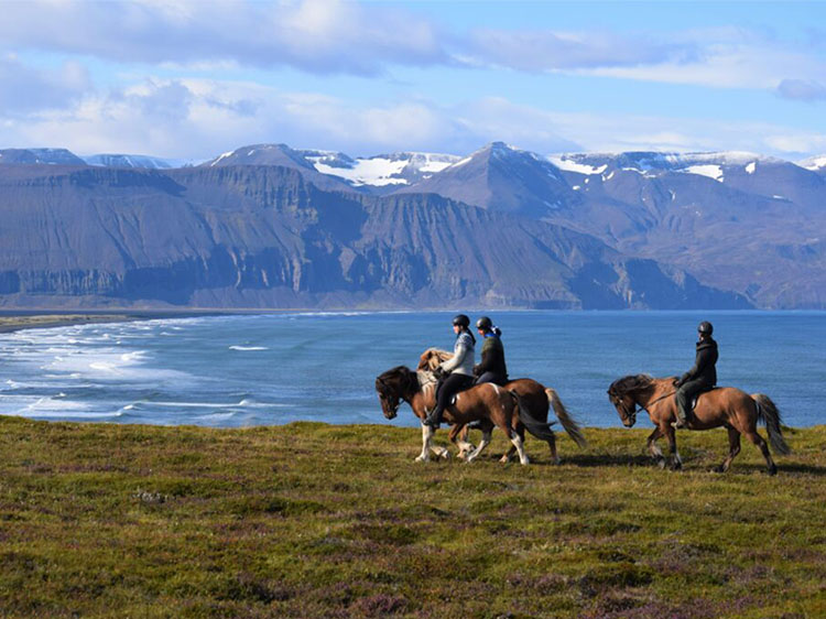 National Park & Horse Riding